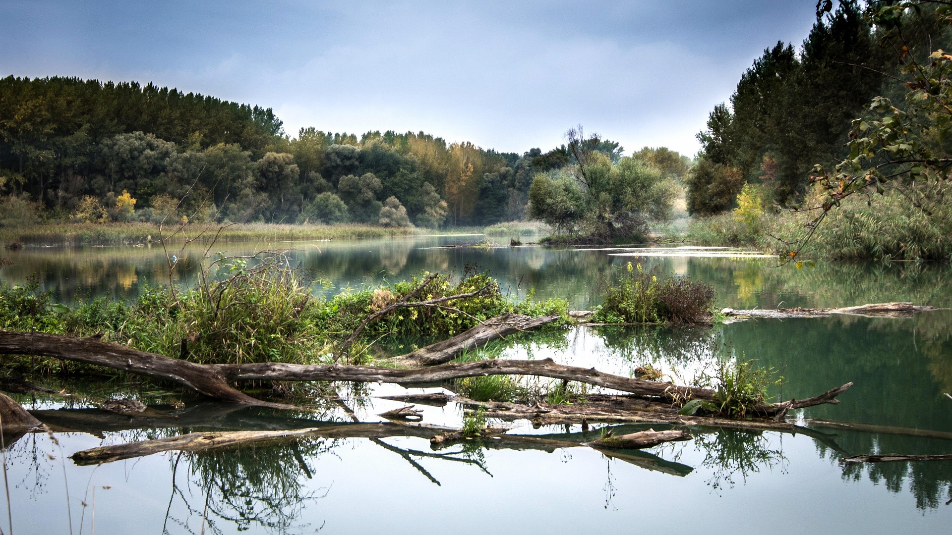 Donau-Poesie – Wien und die wunderbare Wachau
