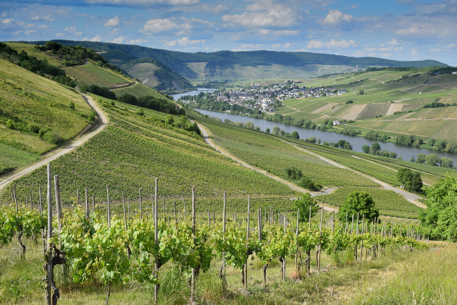 Höhepunkte auf Rhein und Mosel: Von Trier nach Basel